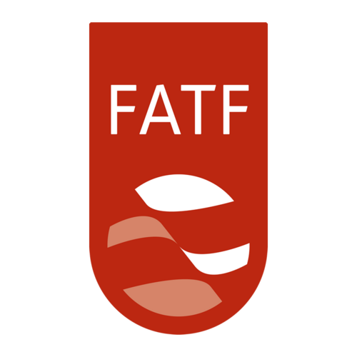 French Woman Violaine Clerc Takes Over as FATF’s New Executive Secretary