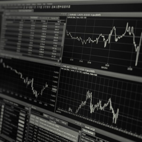 International Coalition Uncovers €3m Online Investment Fraud
